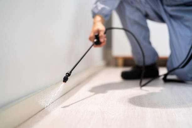 Licensed Fumigation Services service in Rhode Island, RI - Nex Pest Control